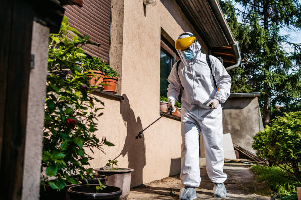 Wildlife Control Services in Midland, WA