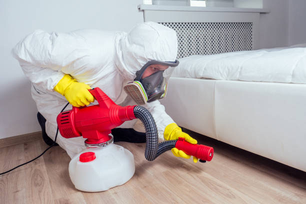Professional Pest Control in Midland, WA