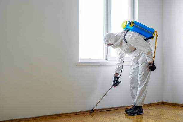 Best Exterminator Services  in Midland, WA
