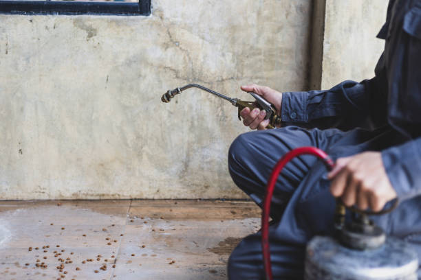 Best Residential Pest Control  in Midland, WA